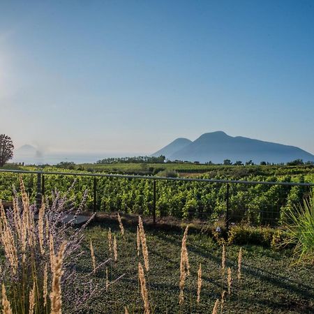 Tenuta Di Castellaro Winery & Resort Lipari  Eksteriør bilde